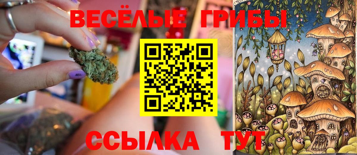 Галлюциногенные грибы прущие грибы Большой Камень