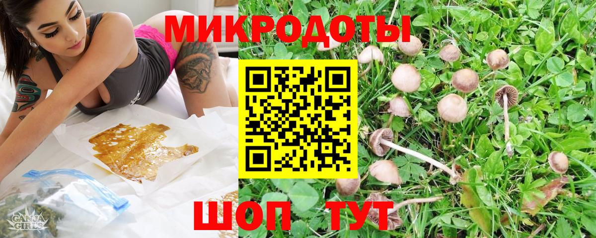 Большой Камень  Псилоцибиновые грибы мицелий  Вход с VPN 